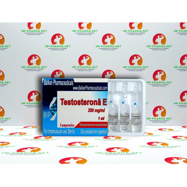 Тестостерон Энантат от Balkan Pharmaceuticals (250мг\1мл) Тестостерон Энантат от Balkan Pharmaceuticals (250мг\1мл)